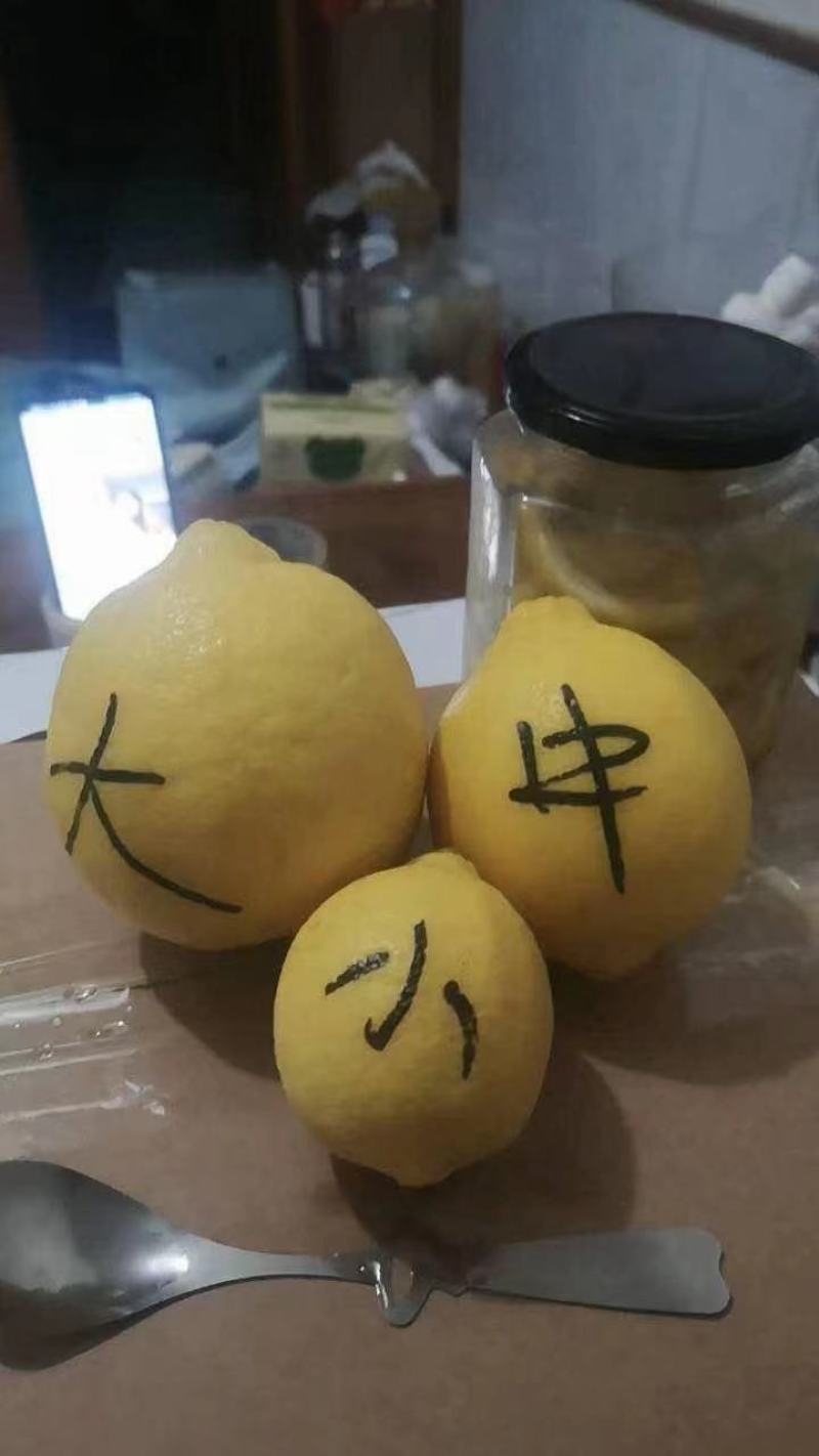 安岳柠檬，基地直销，量大从优，欢迎来电咨询
