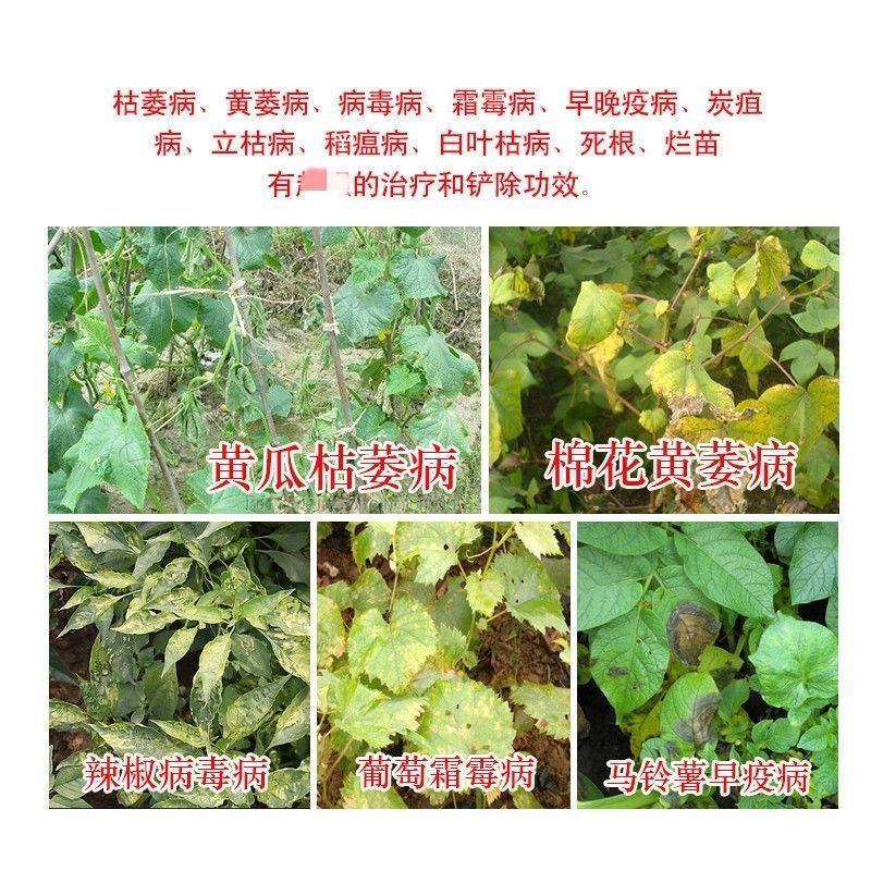 氯溴异氰尿酸90%含量农用杀菌剂青枯病可溶性粉剂