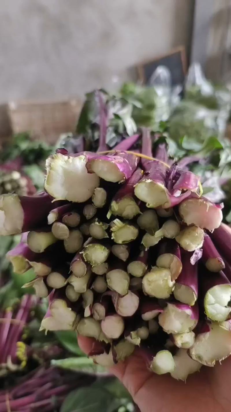 红菜苔一手货源支持产地看货产地打视频现货源充足