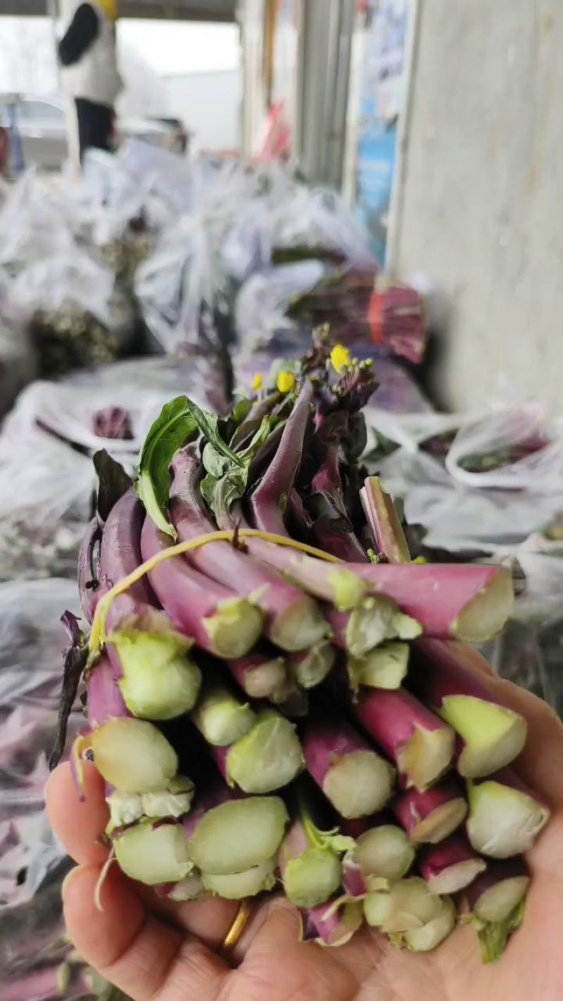红菜苔一手货源支持产地看货产地打视频现货源充足