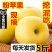 烟台黄元帅苹果粉糯香甜一件代发整车落地配电商抖音快手团购