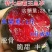 特大李子树苗嫁接霸王李子苗耐寒耐旱盆栽地载南北方种植