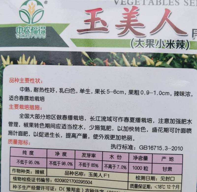 玉美人小米椒种子乳白色超辣小米辣椒朝天椒泡椒剁椒辣椒种子