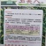 玉美人小米椒种子乳白色超辣小米辣椒朝天椒泡椒剁椒辣椒种子