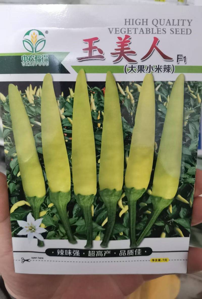 玉美人小米椒种子乳白色超辣小米辣椒朝天椒泡椒剁椒辣椒种子