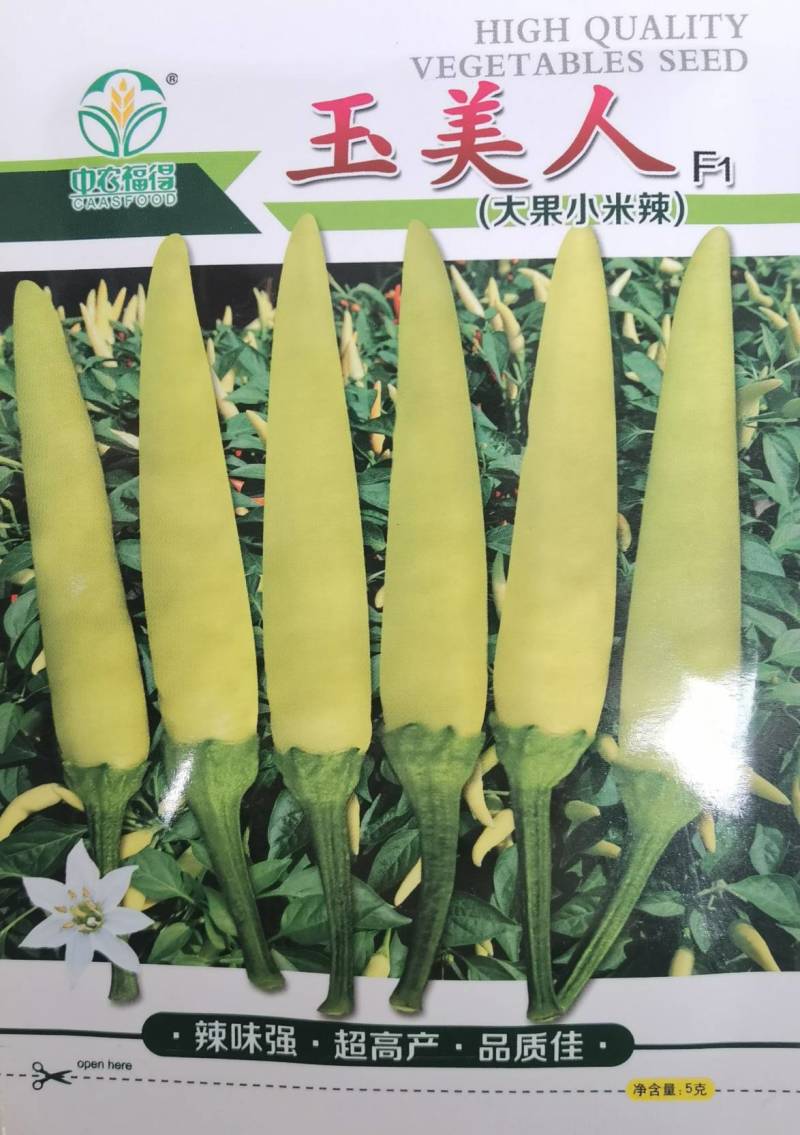 玉美人小米椒种子乳白色超辣小米辣椒朝天椒泡椒剁椒辣椒种子