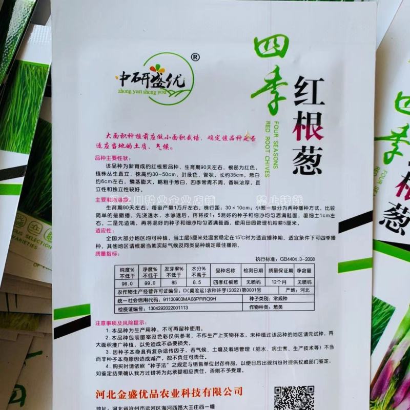 四季红根葱种子日本进口小葱品种四季常青香味浓厚红葱种籽