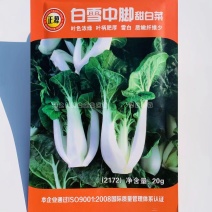 奶油白菜种子一年四季白雪中脚甜白菜种子南方四季蔬菜种子