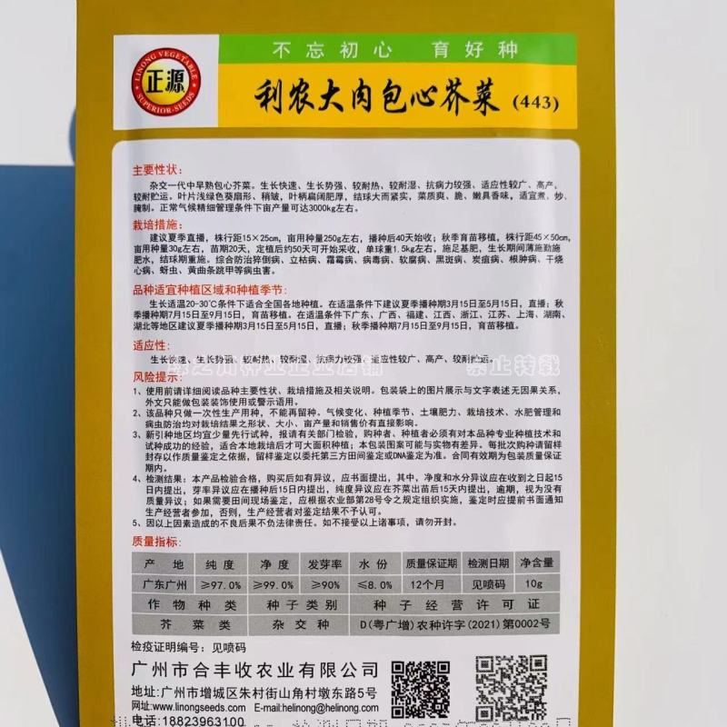 利农大肉包心芥菜种子生长快高产杂交芥菜种籽菜质爽脆嫩香味
