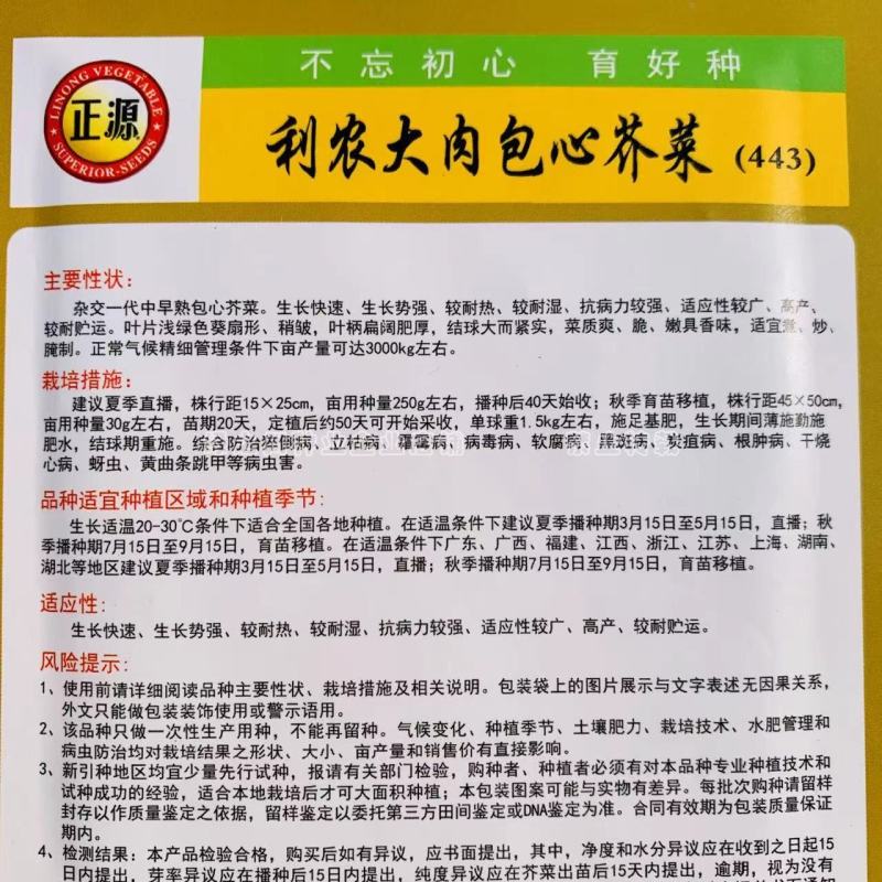利农大肉包心芥菜种子生长快高产杂交芥菜种籽菜质爽脆嫩香味