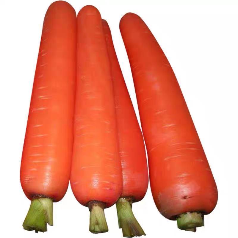 优质三红胡萝卜胡萝卜货源充足对接商超市场电商