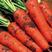 优质三红胡萝卜胡萝卜货源充足对接商超市场电商