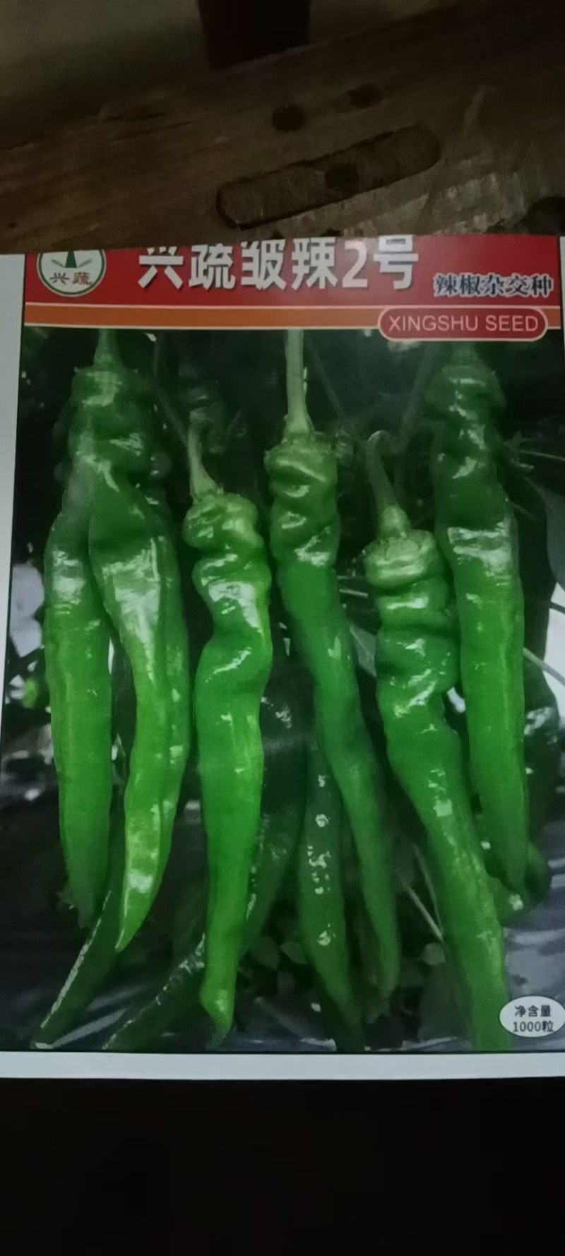 辣椒苗茄苗.大量供应