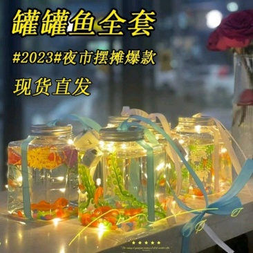 网红罐罐鱼发光罐罐鱼泡泡鱼摆地摊神器公园广场夜市热销