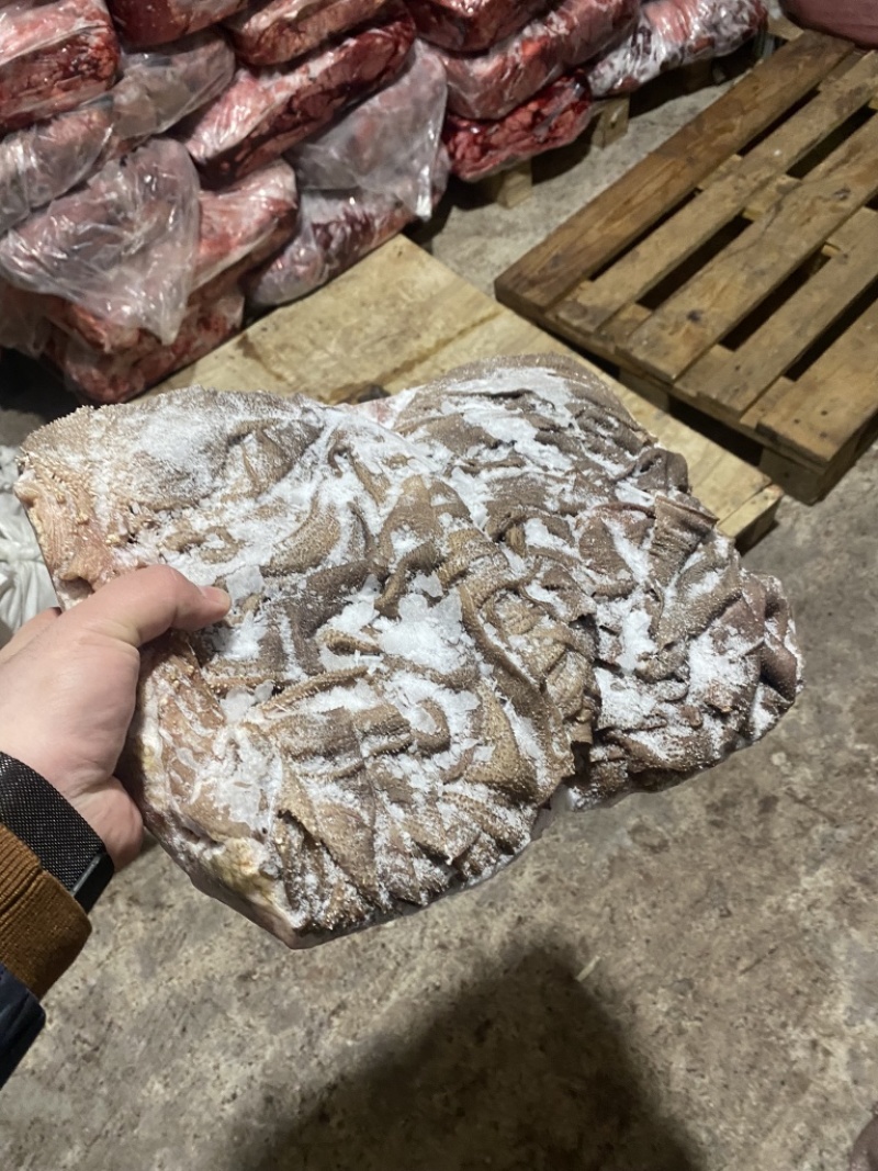 冻鲜百叶去油精修