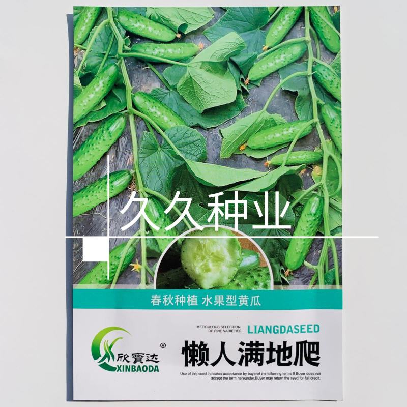 满地爬黄瓜种子懒人易种水果黄瓜种籽高产免搭架易种春秋蔬菜