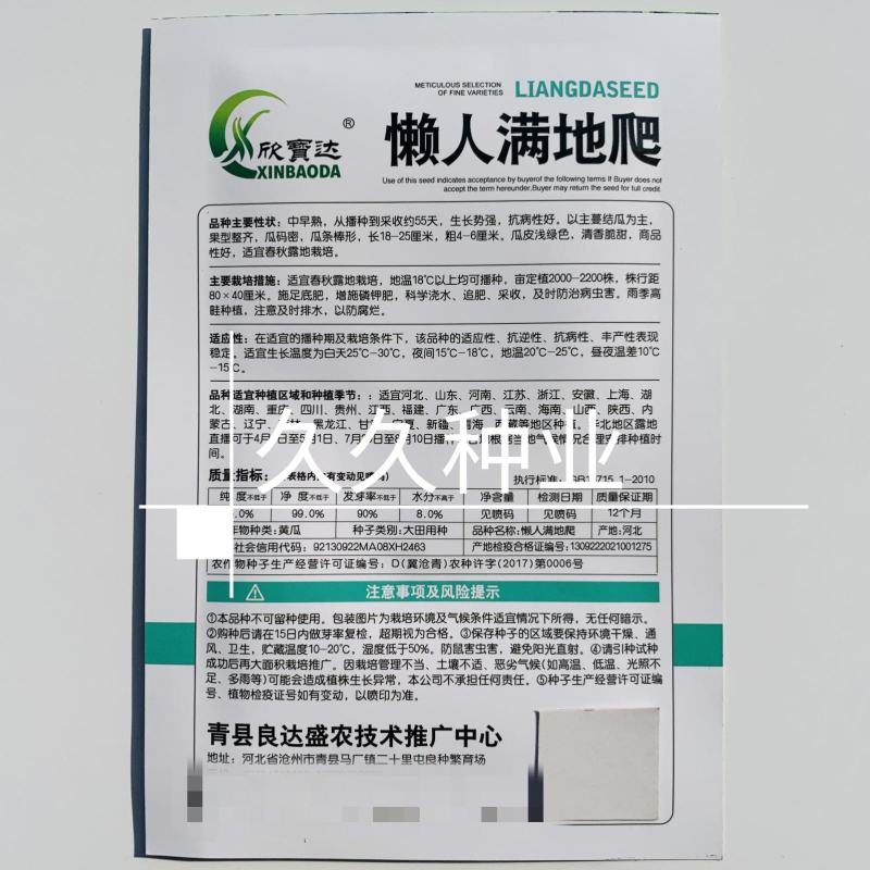 满地爬黄瓜种子懒人易种水果黄瓜种籽高产免搭架易种春秋蔬菜