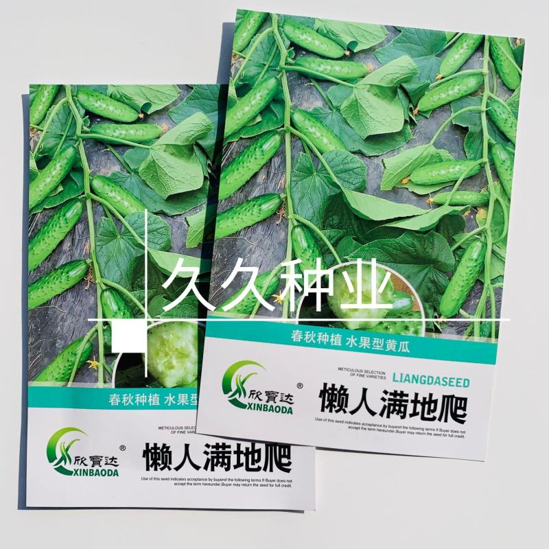 满地爬黄瓜种子懒人易种水果黄瓜种籽高产免搭架易种春秋蔬菜