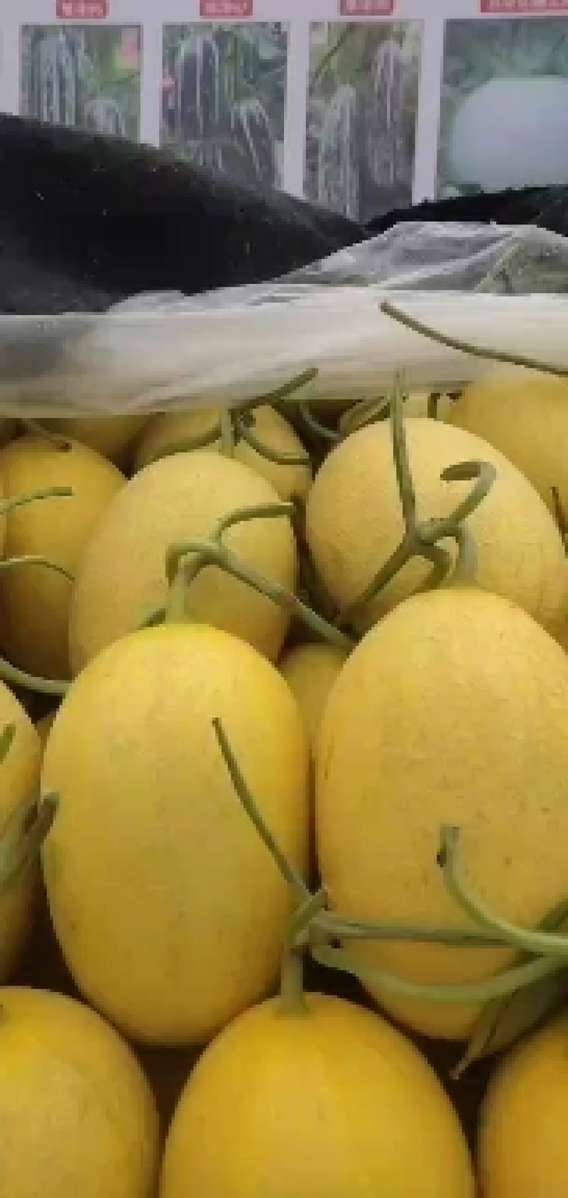 黄金二五