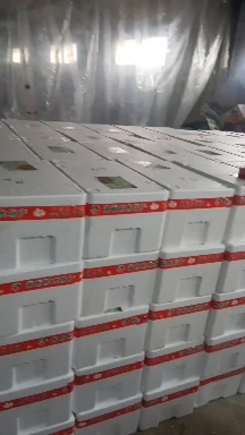 基地发货，口感好，价格合理，各样包装。