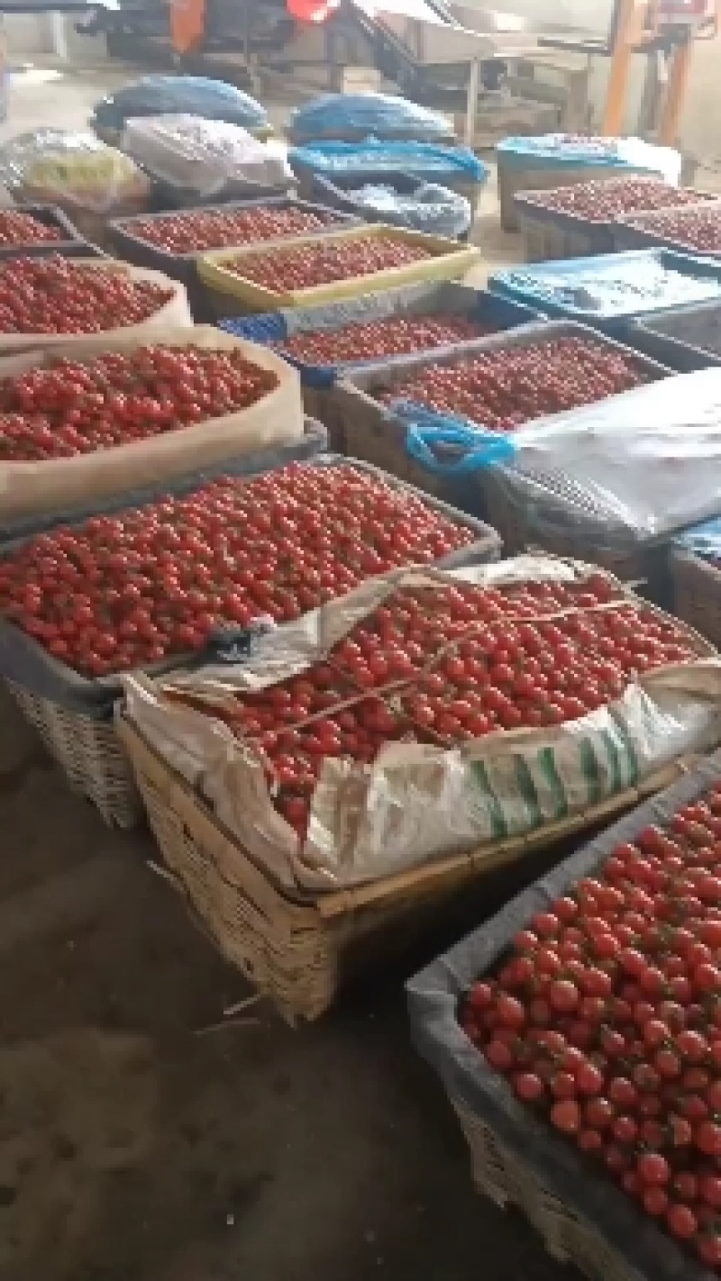 基地发货，口感好，价格合理，各样包装。