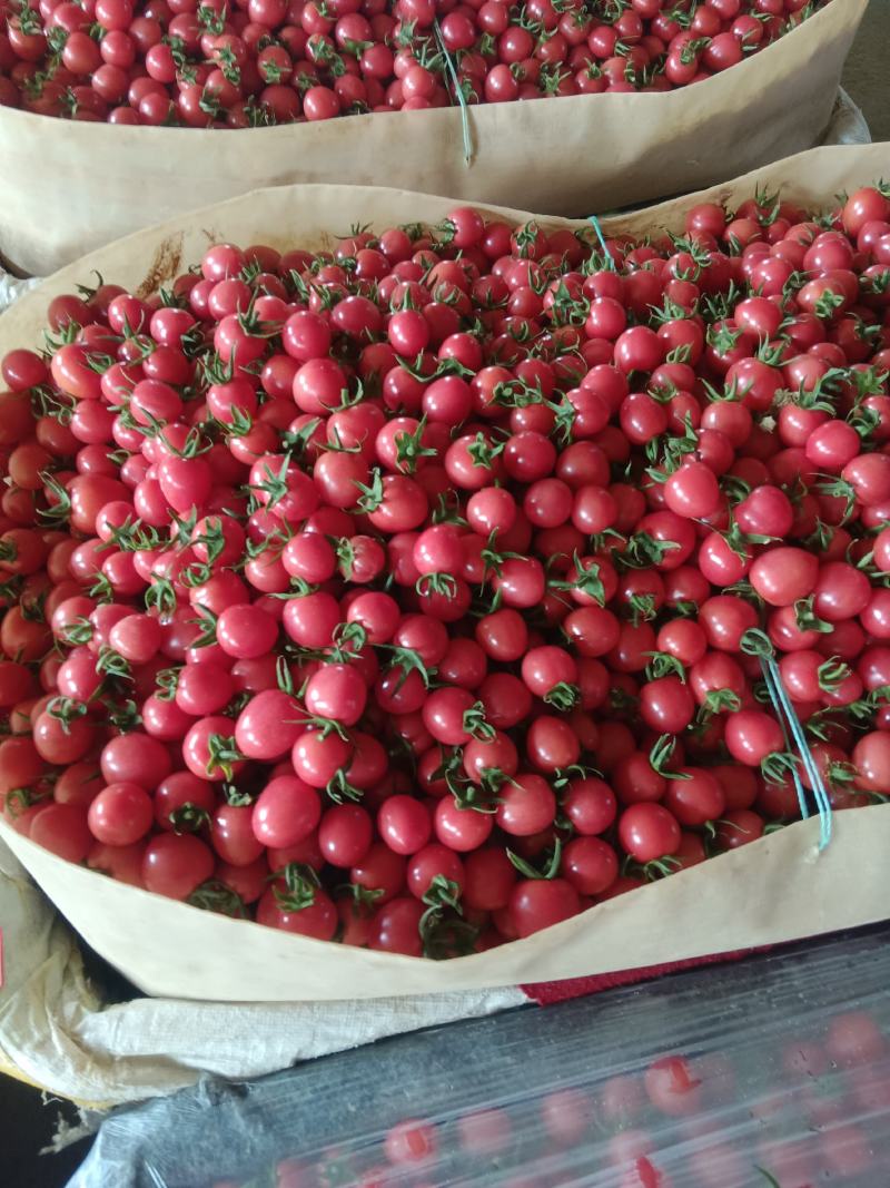 基地发货，口感好，价格合理，各样包装。