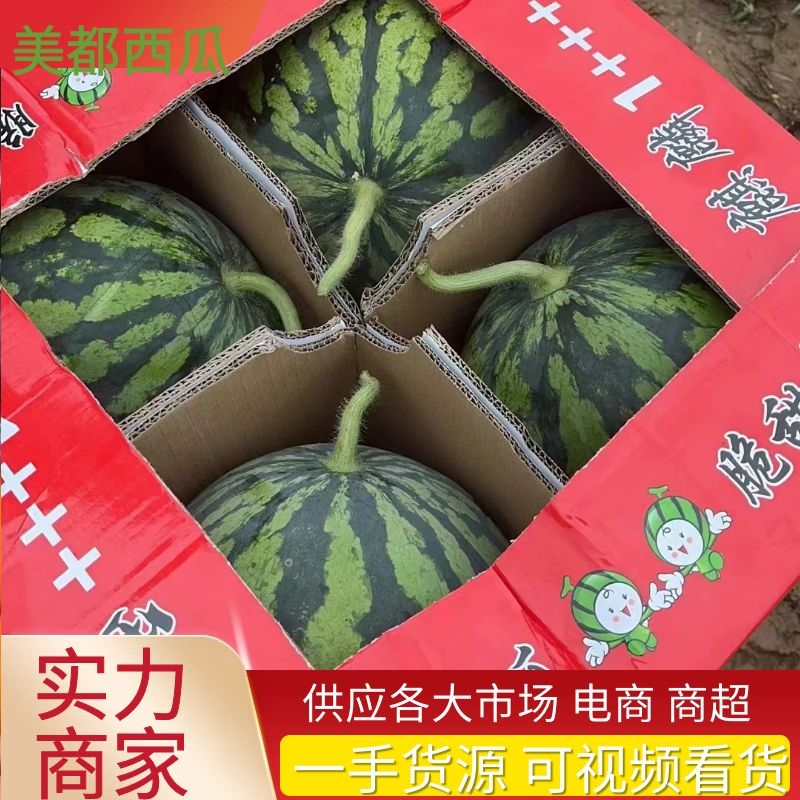 [荐]山西大棚美都西瓜头茬无籽有籽美都欢迎来电采购