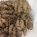 郁金头又名莪术头中药材种苗