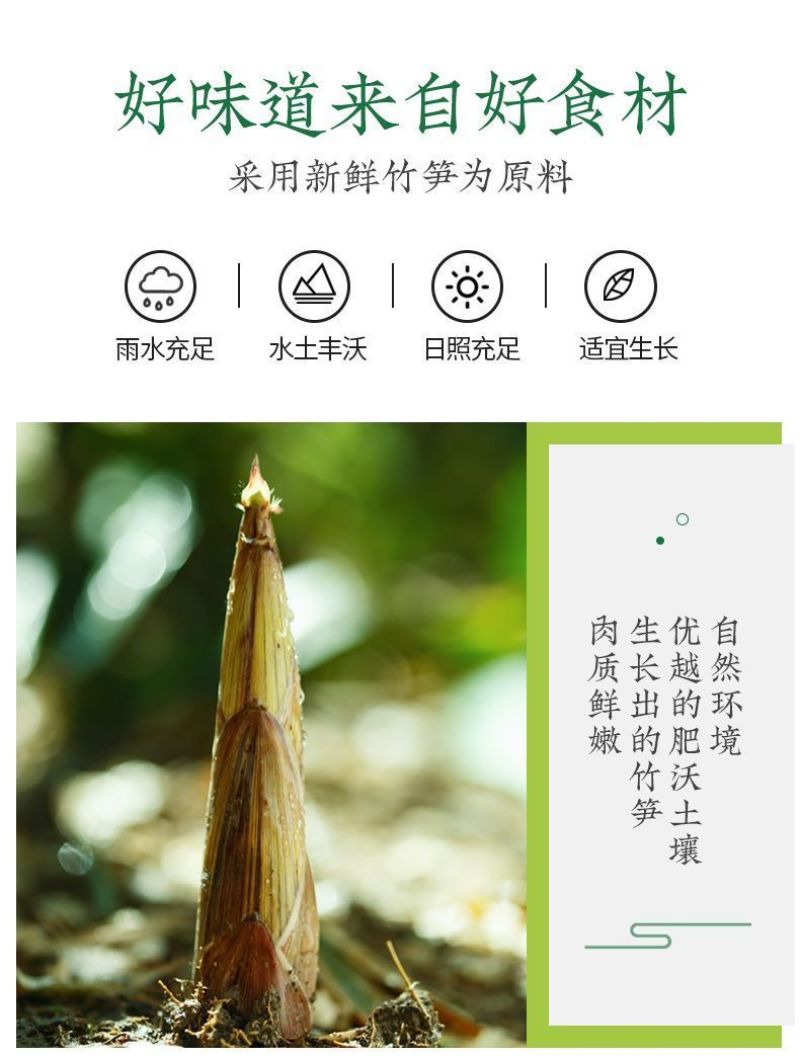 泡椒野山椒脆笋新鲜小包装批发一整箱竹笋干工厂直发