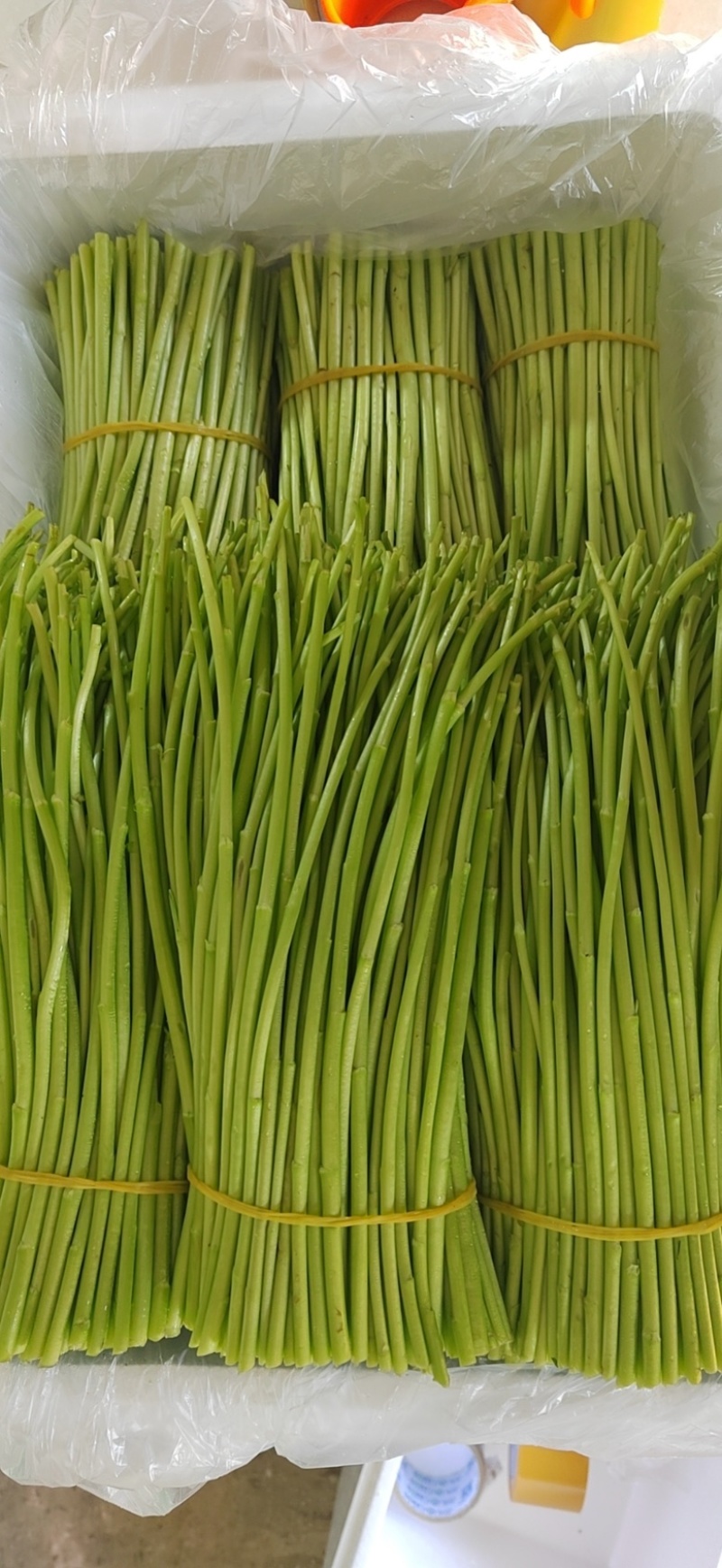 精品芦蒿