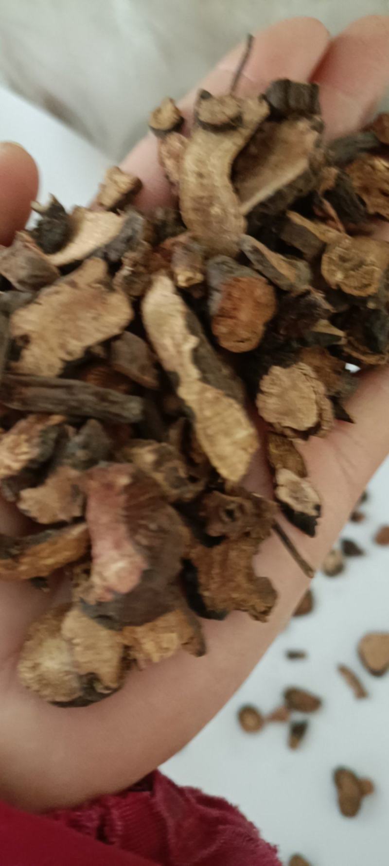 水洗地榆，中药材批发，无杂质无沫，欢迎各位老板下单