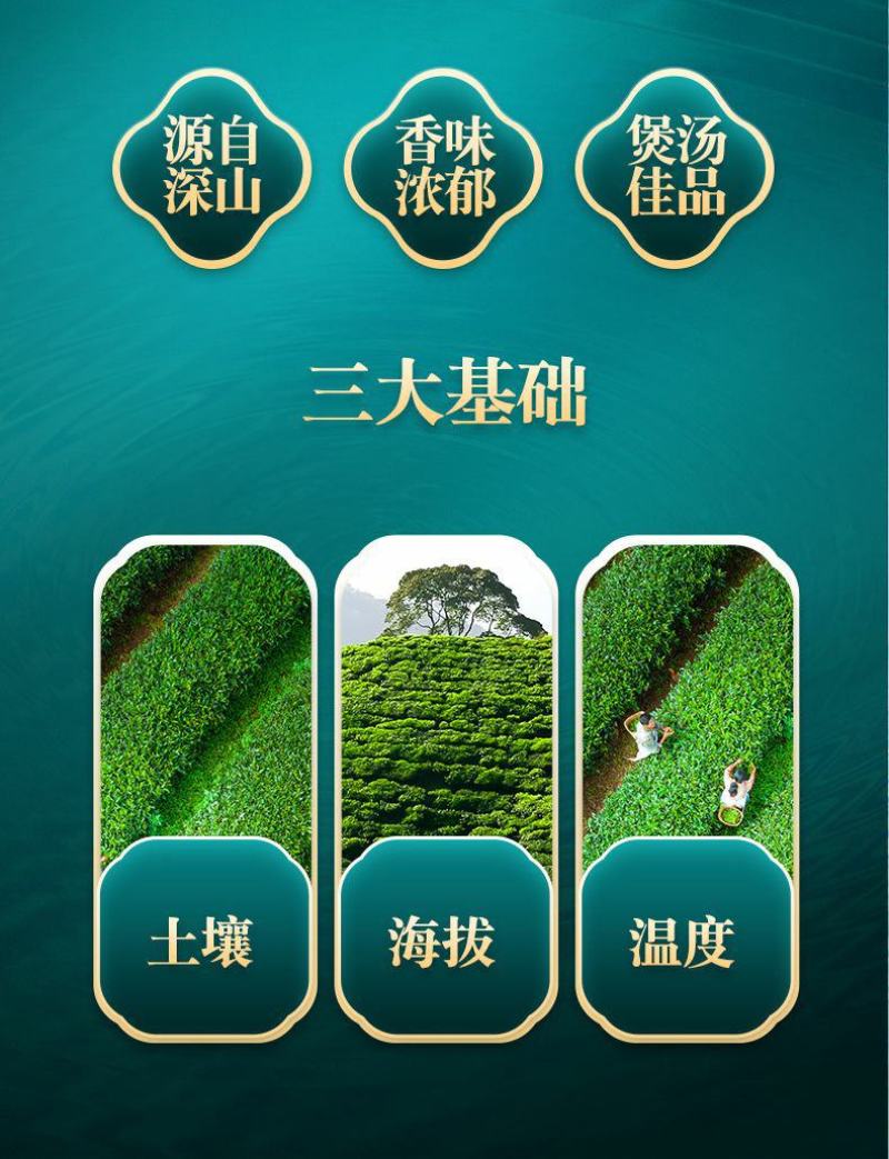 野生五指毛桃正宗中药材特级煲汤滋补干货五指毛桃