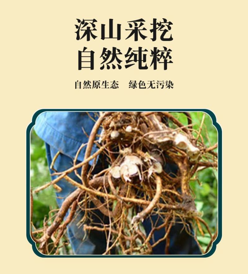 野生五指毛桃正宗中药材特级煲汤滋补干货五指毛桃