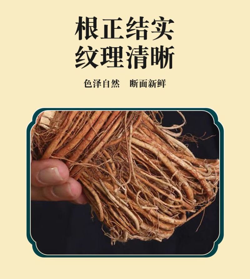 野生五指毛桃正宗中药材特级煲汤滋补干货五指毛桃