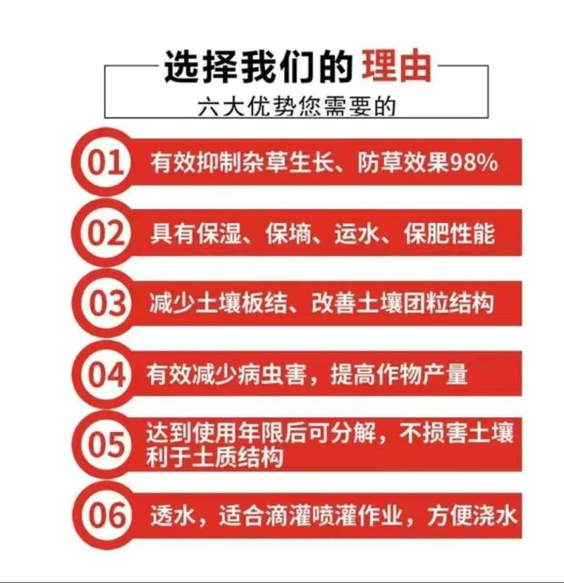 药材、蔬菜、花卉专用防草布，打孔防草布/除草布