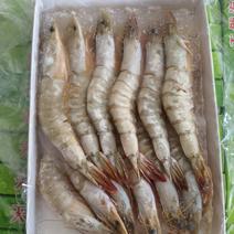 北海大海虾，明虾