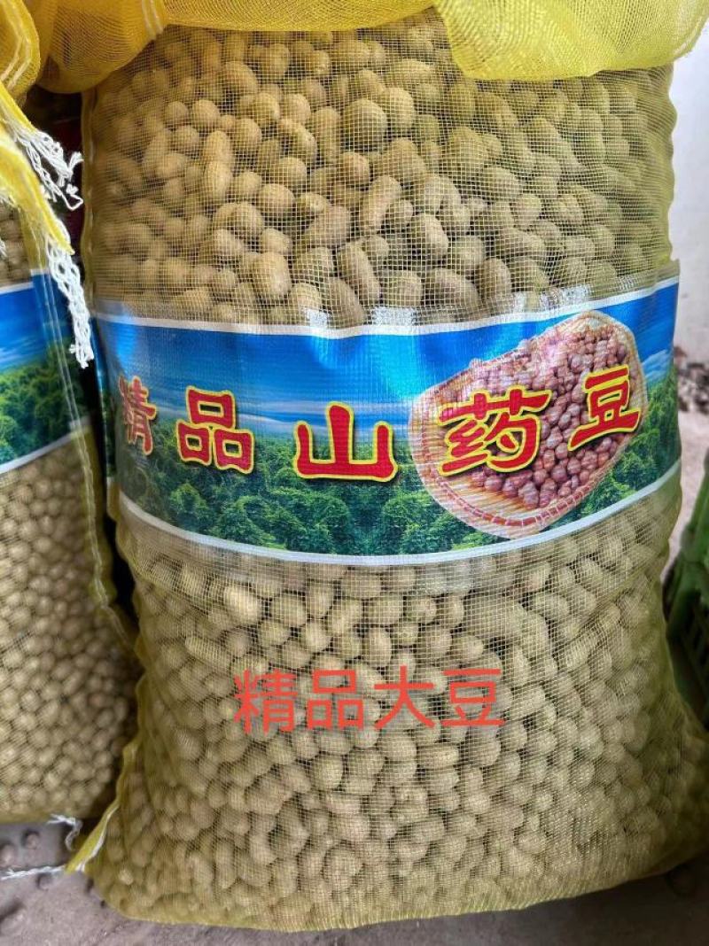 精品山药豆接各大电商平台代发平台电商专用山药豆糖葫芦专用