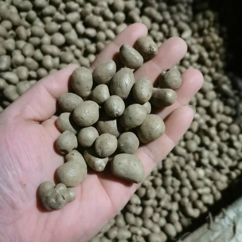 精品山药豆接各大电商平台代发平台电商专用山药豆糖葫芦专用