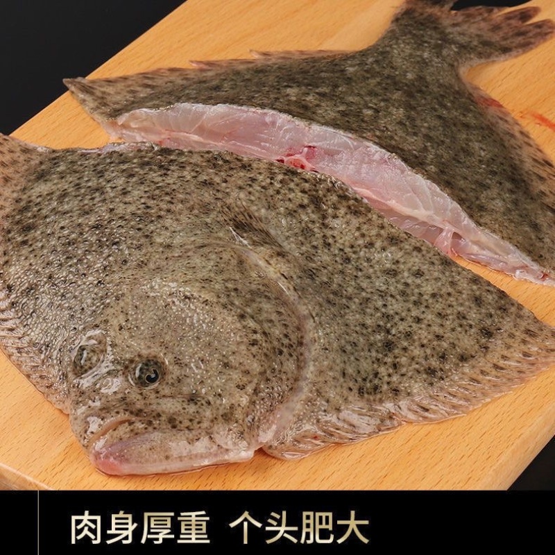 新鲜冷冻多宝鱼比目鱼大菱鲆一件代发