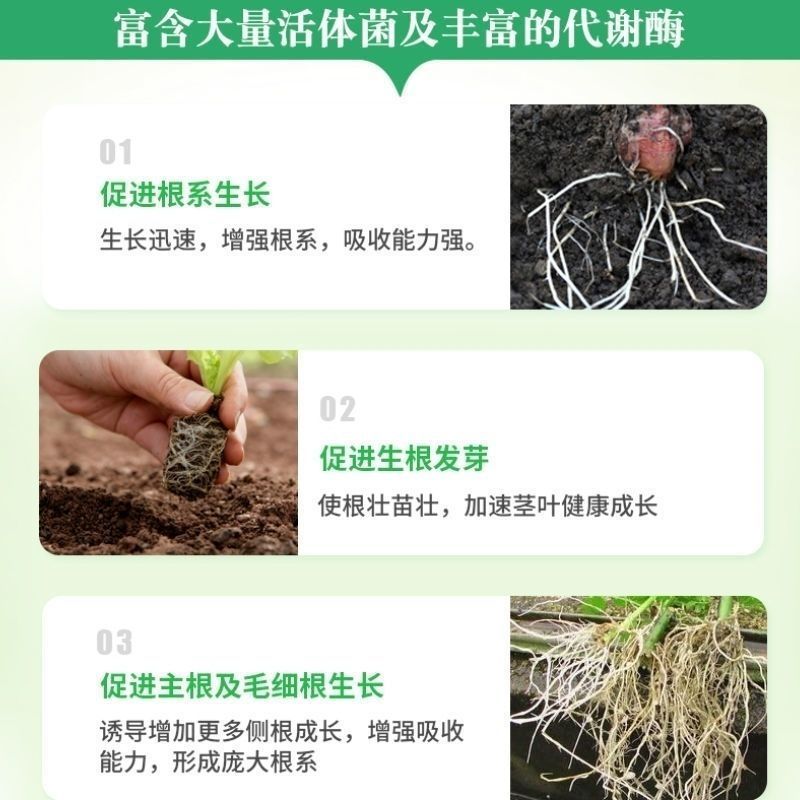 快速生根液根多多移栽扦插花卉营养液植物通用强力壮苗生根剂