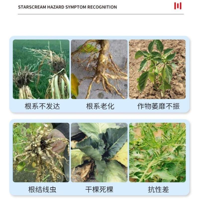 快速生根液根多多移栽扦插花卉营养液植物通用强力壮苗生根剂