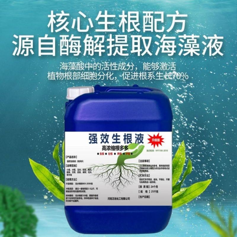 快速生根液根多多移栽扦插花卉营养液植物通用强力壮苗生根剂