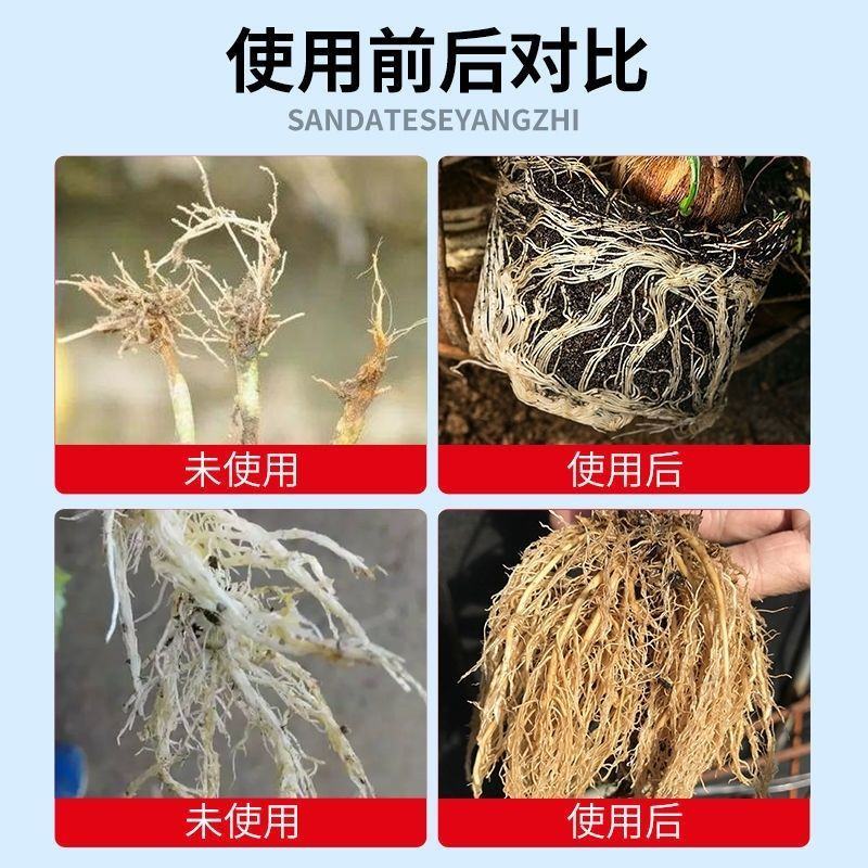 快速生根液根多多移栽扦插花卉营养液植物通用强力壮苗生根剂