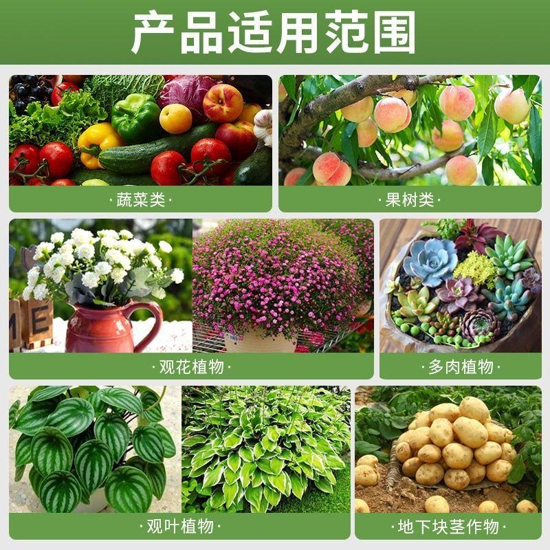 快速生根液根多多移栽扦插花卉营养液植物通用强力壮苗生根剂