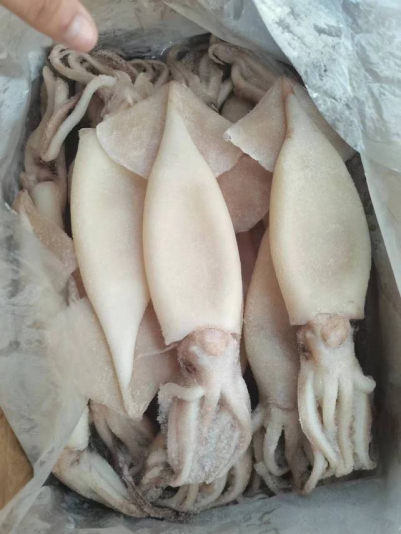 二去阿鱿，单冻去皮鱿