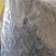 水蛭菲牛蛭干货净货欢迎下单一斤起售