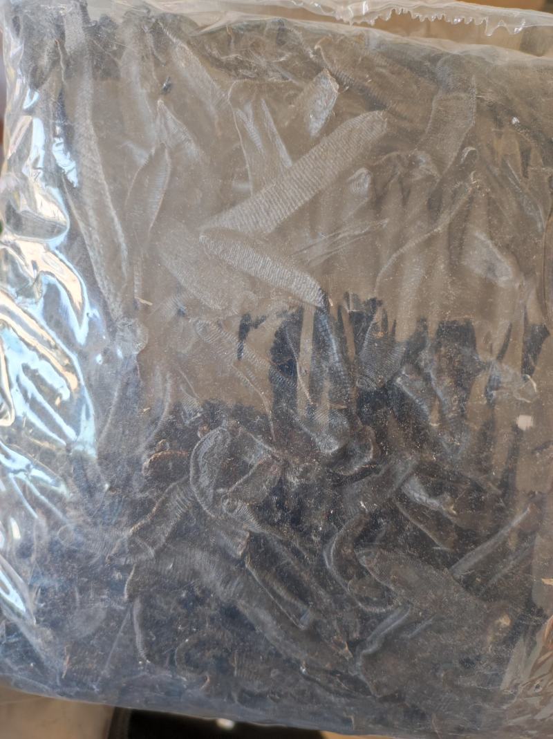 水蛭菲牛蛭干货净货欢迎下单一斤起售