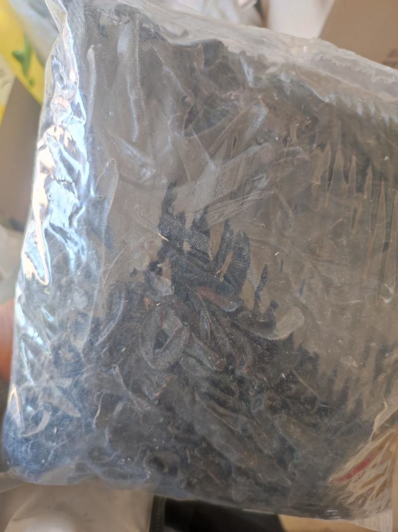 水蛭菲牛蛭干货净货欢迎下单一斤起售