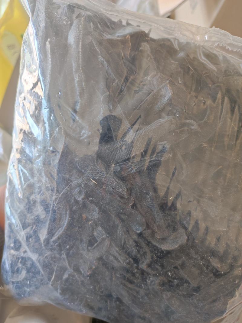 水蛭菲牛蛭干货净货欢迎下单一斤起售