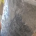水蛭菲牛蛭干货净货欢迎下单一斤起售